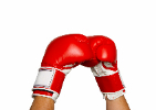 boxing gloves-840-800 boxing gloves-840-800